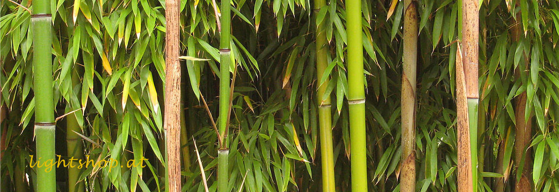 Lampen aus Bambus